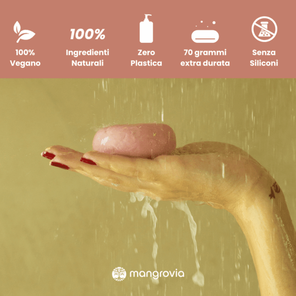 shampoo solido vegano
