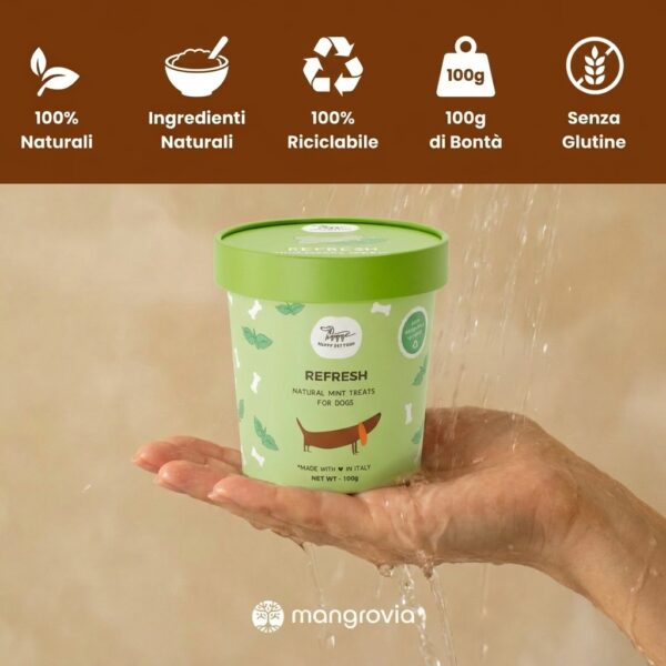 biscotti-refresh-gallery-1-infographic-features biscotti refresh gallery 1 infographic features