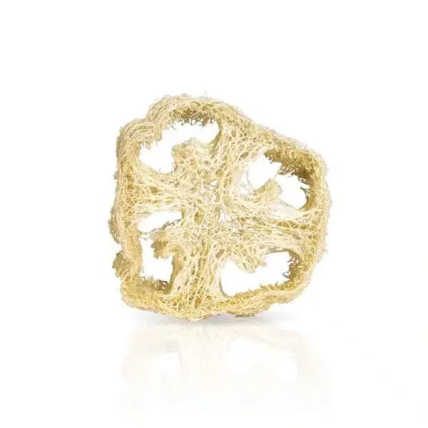 portasapone in luffa