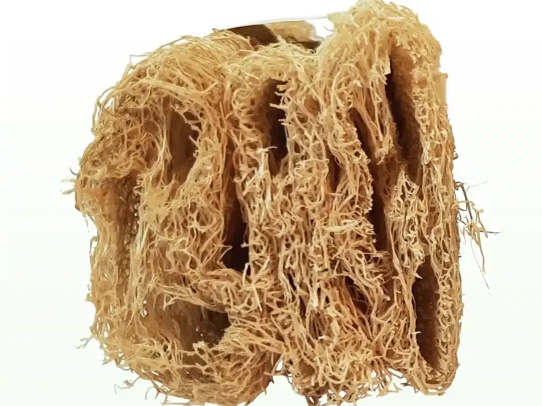 cilindri di luffa