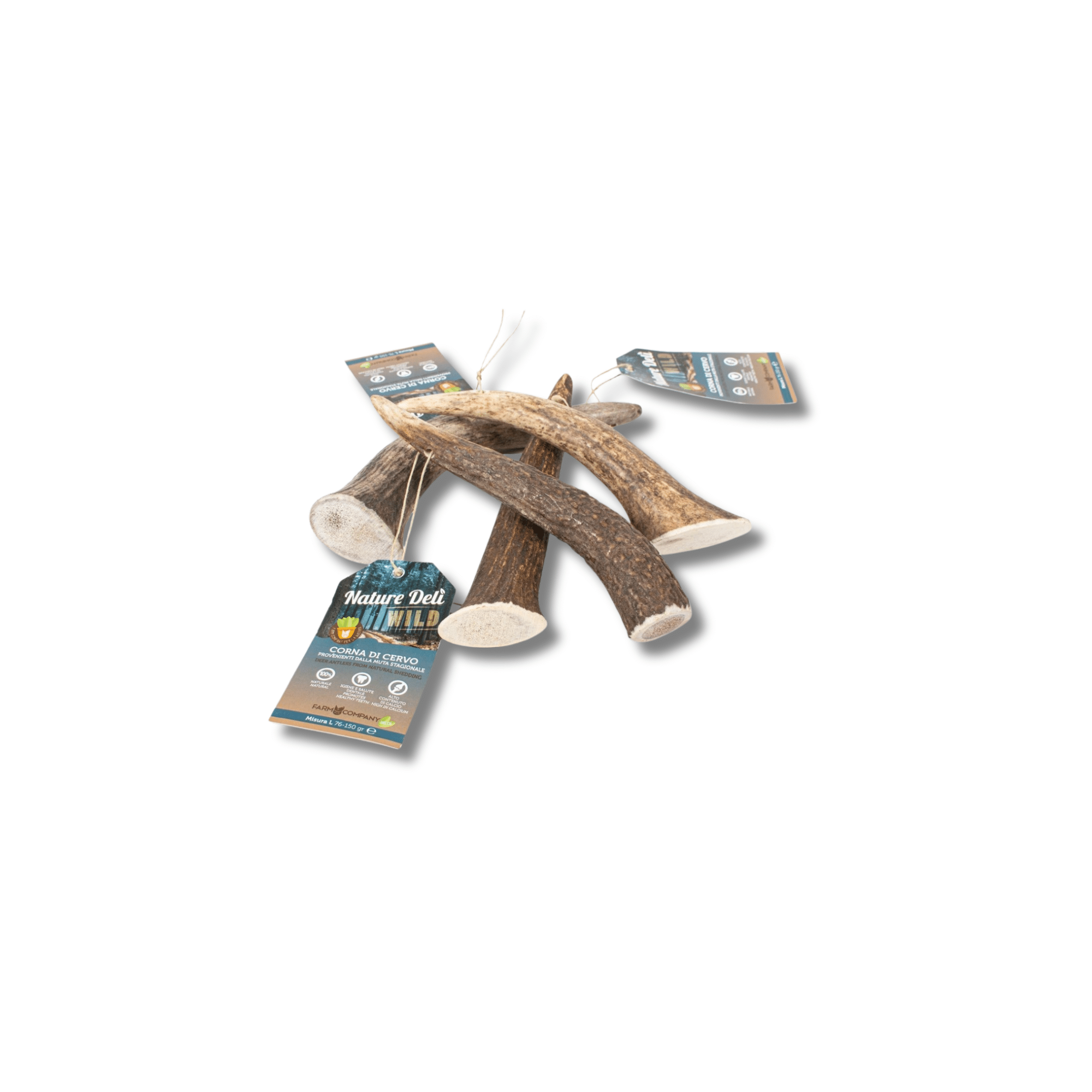 DEER ANTLERS L