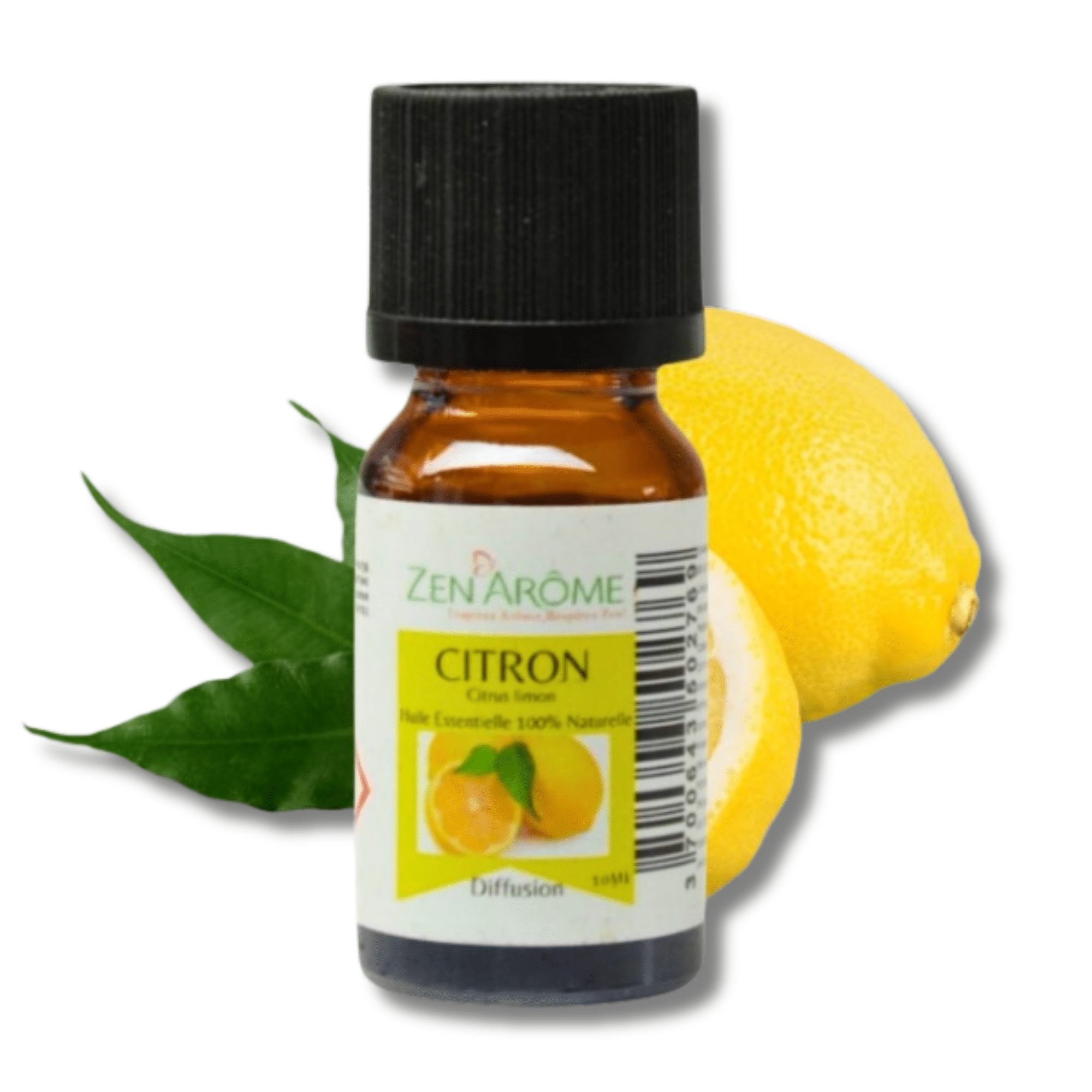 Natural essential oils - Zen'Arôme, Cedar aromas