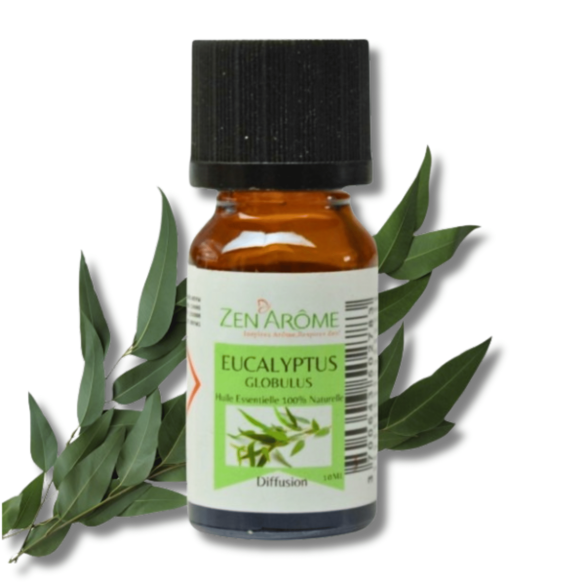Natural essential oils - Zen'Arôme, Eucalyptus aromas