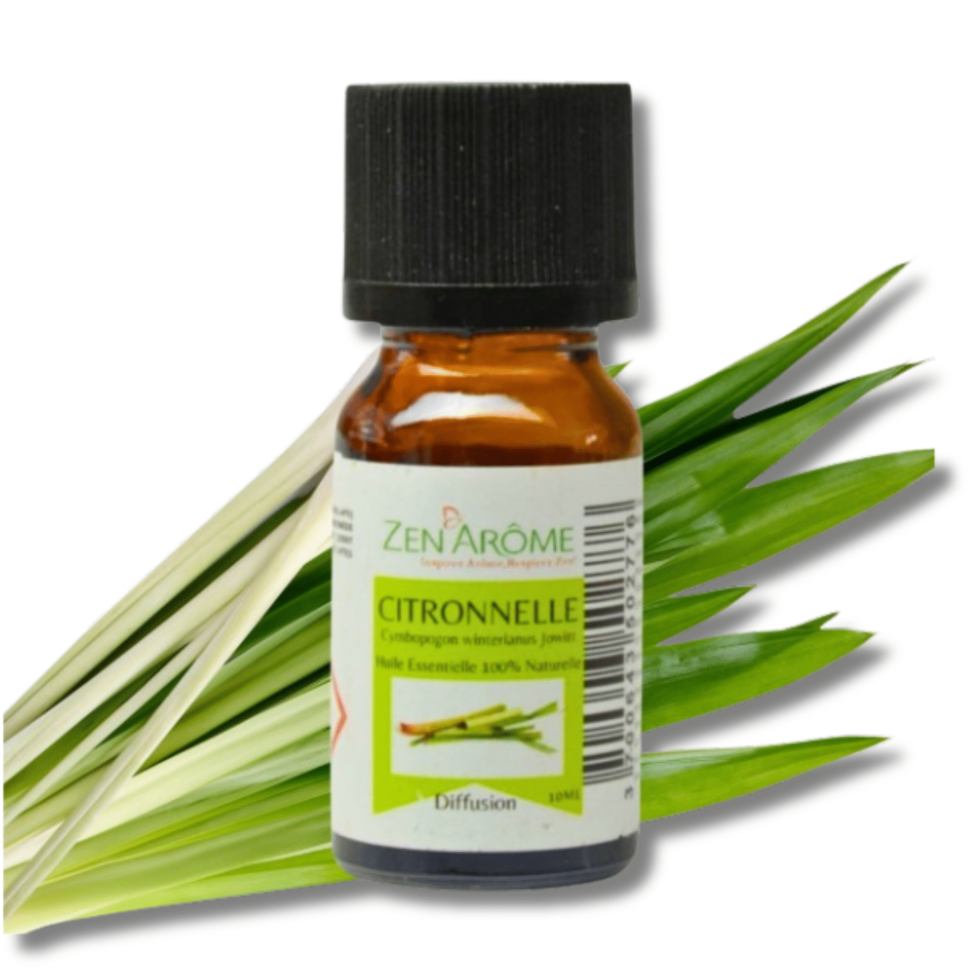 Natural essential oils - Zen'Arôme, Citronella aromas