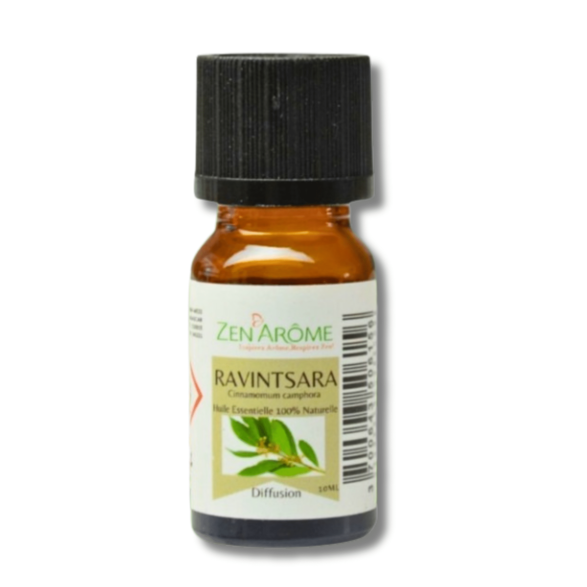 Natural essential oils - Zen'Arôme, Ravintsara aromas