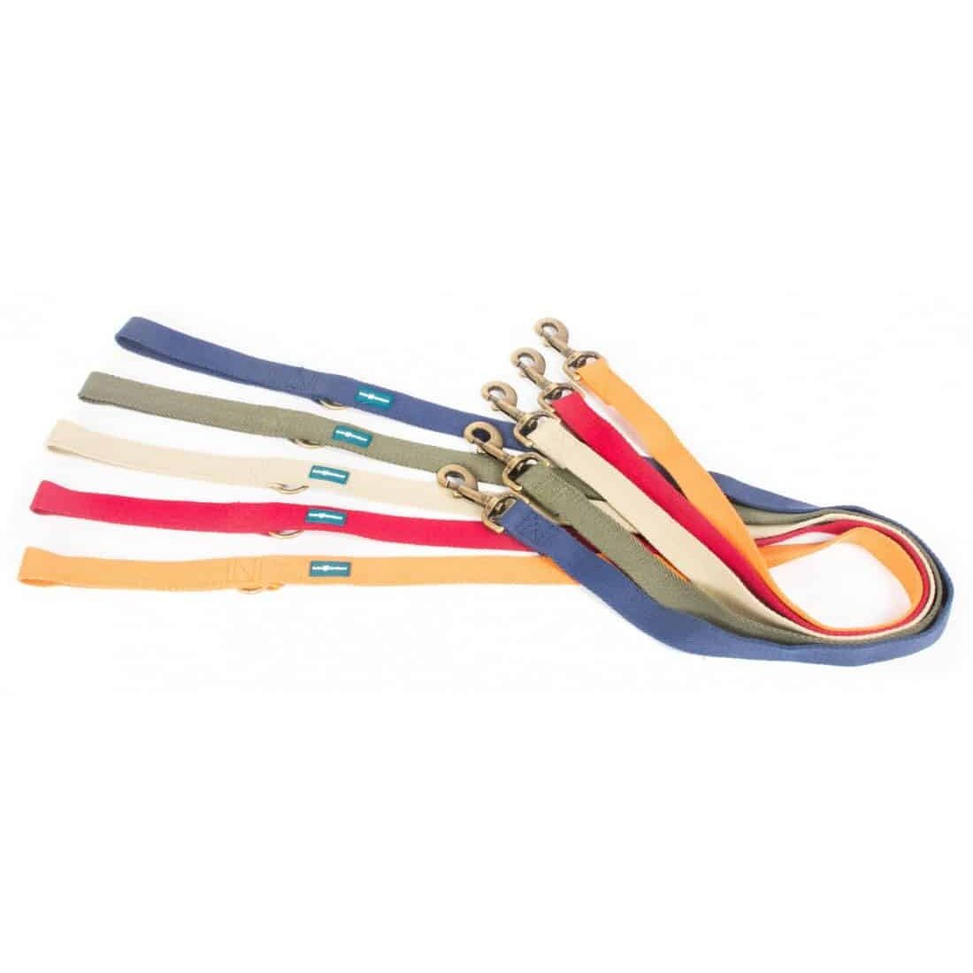 Eco-Friendly Dog Leash Made in Italy - Farm Company Green, Taupe Color